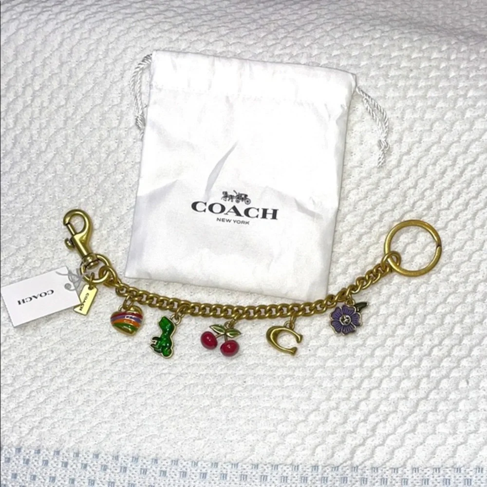 NWT Coach Motif Chain Bag Charm Rexy Tea Rose Cherries Heart Brass Mult…